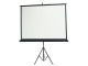 PARROT Projector Tripod Screen 2440 x 1850mm