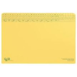 TIDY FILES A4 Top Retrieval Custodian Heavy Weight File With Tri Clip 250gsm - Pack of 25
