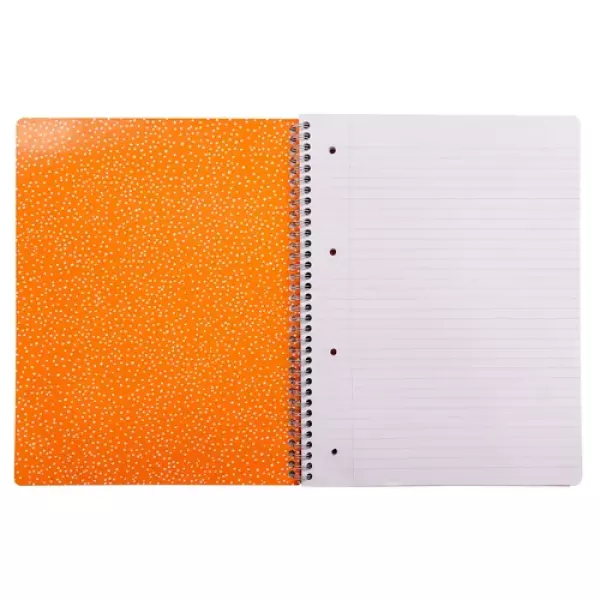 Pukka Bloom A4+ Side Spiral Jotta 160 Page Cream shown from the front